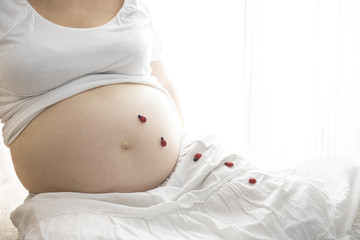 Babybauch mit Marienkäfern