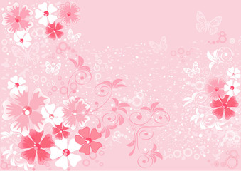 pink flowers sakura, illustrations