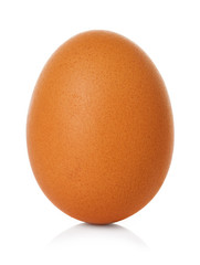 Egg chicken brown  isolated on white background