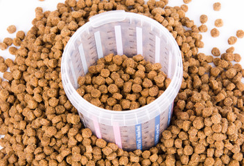 Measured dose of food for dog