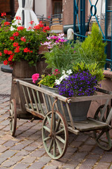 Fototapeta na wymiar Old Wooden cart with plants in pots