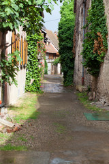Fototapeta na wymiar Street with half-timbered medieval houses in Eguisheim