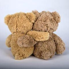 zwei Teddy's umarmen sich