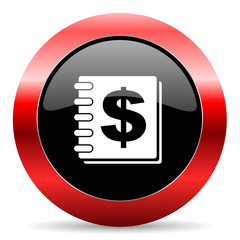 money icon