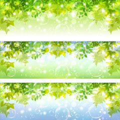 葉　背景　シャボン玉