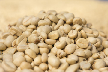 Coffee beans dried in the sun.