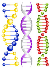 DNA
