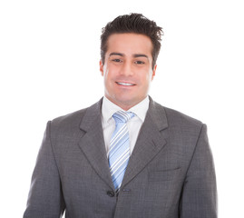 Portrait Of Young Businessman