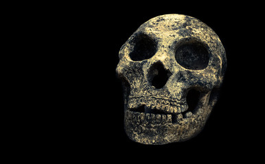 Cement skull isolated on black background