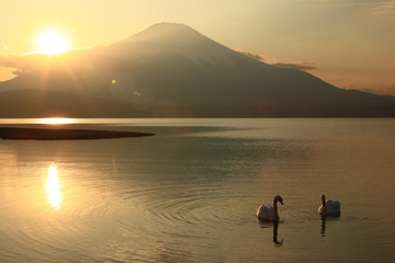 Obraz premium 夕暮れの山中湖 富士山と白鳥
