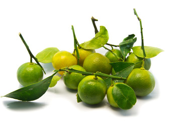 oranges fruits isolated on white. .