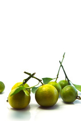 oranges fruits isolated on white. .