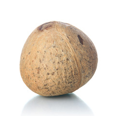 Fototapeta premium Coconut