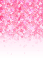 桜　さくら　背景