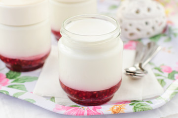 Natural Yoghurt with Raspberry Jam