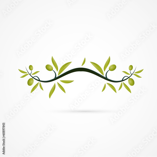 Branche D Olivier Wall Mural Wallpaper Murals Wallsheaven M Studio