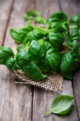 Fresh leaves of basil on a old wooden table