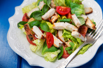 grilled chicken salad with fresh vegetables and basil