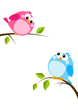 Cute birds on spring branches