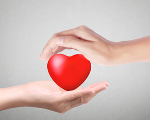Obraz premium Heart in the hands