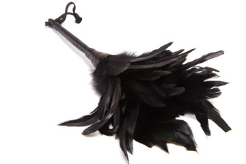 Fluffy Feathered fetish equipment