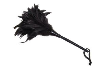 Black Feathered fetish equipment on white