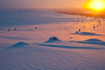 sunset in the tundra