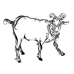 Fototapeta na wymiar goat tattoo vector