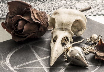 Skulls n Roses