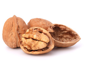 walnut