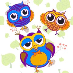 3 owl