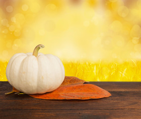 Small shiny pumpkin on autumn background