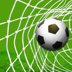 soccer ball on net