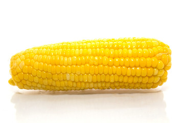 Sweet boiled corn on white background