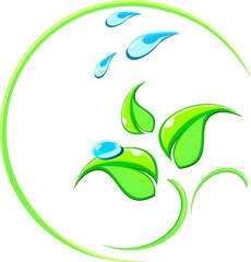 Logo with a picture of green leaves and water drops