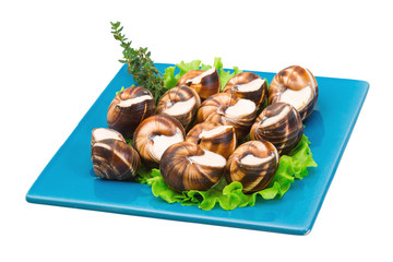 Escargot