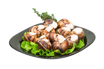 Escargot