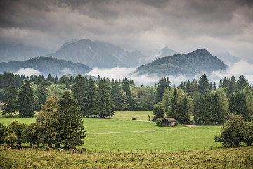 Bavarian Farmlands