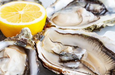 Fresh oysters on ice with lemon close up