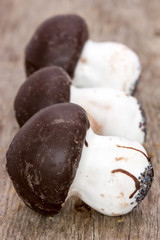 Mushroom cookies on wooden background