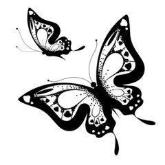 butterflies design