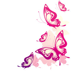 butterflies design