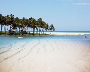 Tropical beach