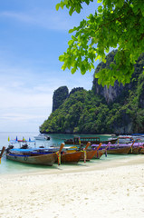 Obraz premium Tropical beach