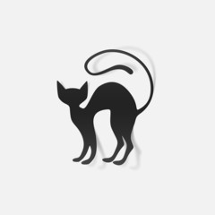 realistic design element: cat