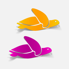 realistic design element: sea ??turtle