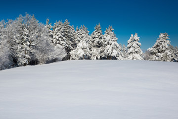 Fototapeta na wymiar Idyllic winter scene with forest and fresh snow