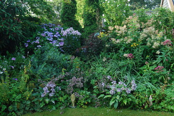 bloemenborder in tuin