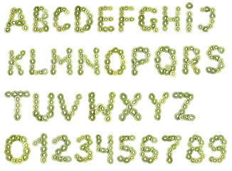 Alphabet of kiwi