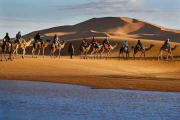 Caravan of tourists passing desert lake on camels